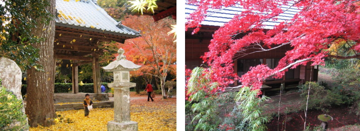 檀特山 小松寺 催事 行事